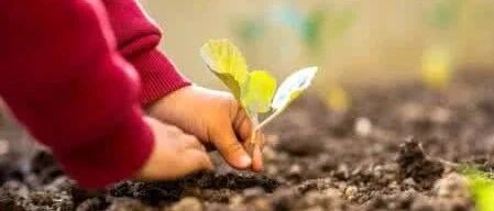 好的家庭教育离不开这10条常识！