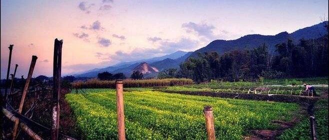 你不能养我一辈子，为何从小如此娇惯我（望每位家长深思）