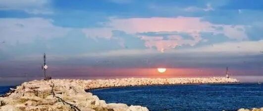 妈，我终于找到懂我的人了！——感恩遇见周强老师