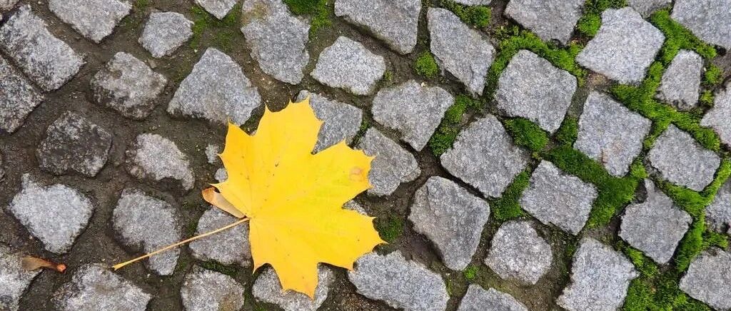 你的“五观”里，藏着你的人生结局！