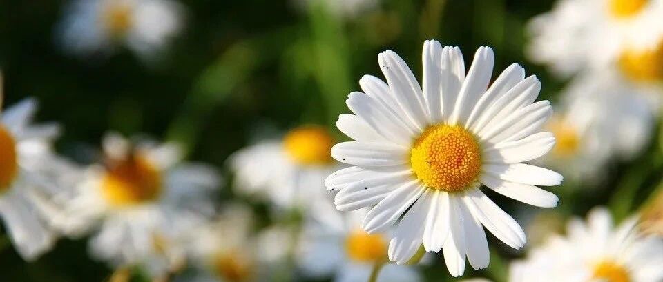 天冷了！叫孩子起床的不正确方式，你中招没?