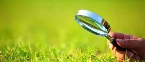 唤醒优势教育，做懂孩子的妈妈！