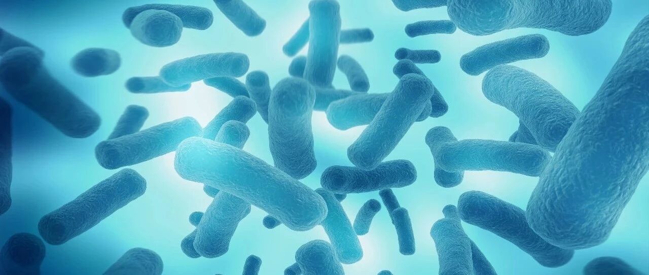 拒绝滥用！食品和补充剂中的“益生菌”需满足4个条件