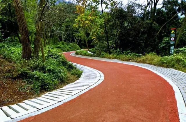 岘山绿道是很多健身者的最爱,那里的春天更是绿意盎然,当春日到来的