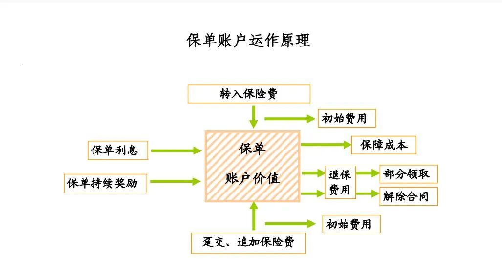 保单账户运作原理