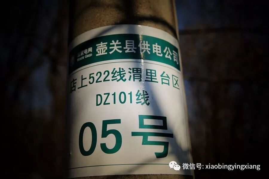 谓理：我的梦里故乡（一）