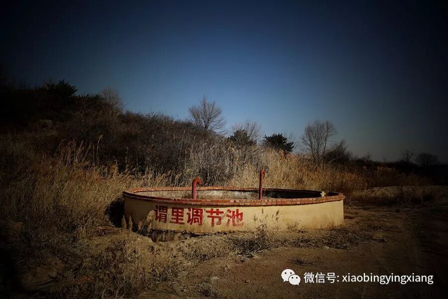 谓理：我的梦里故乡（一）