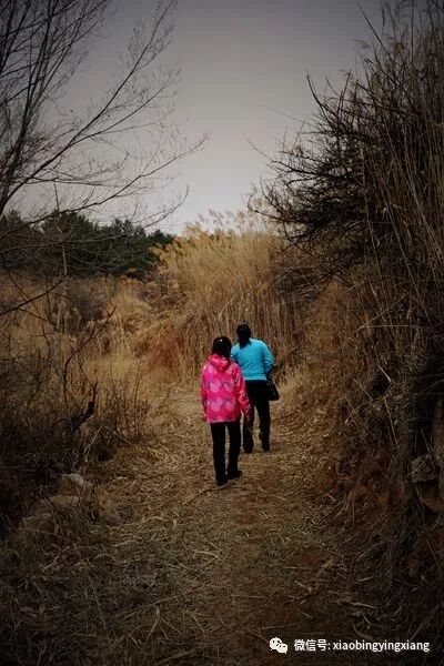 谓理：我的梦里故乡（二）