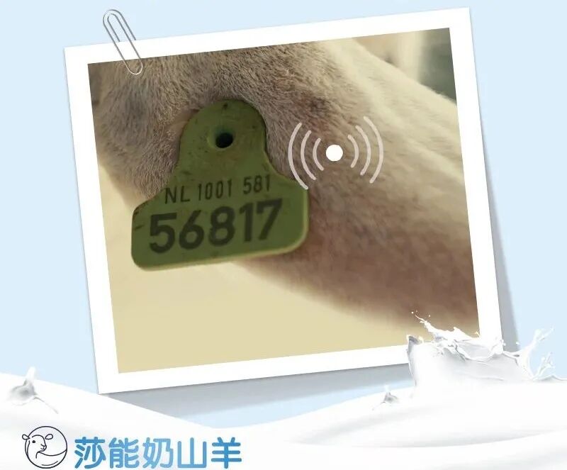 ��ţ��ǿ13������ͺȱ�����������Ӫ����θůů�ģ�ȫ�Ҷ���~