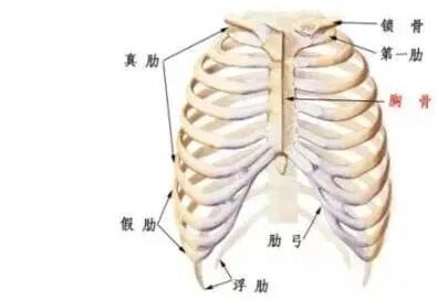 【美女】她靠颜和肉就能踏平宇宙，拒绝嫁到贝克汉姆家！（组图） - 60
