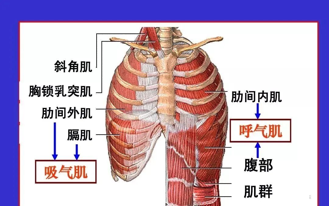 【美女】她靠颜和肉就能踏平宇宙，拒绝嫁到贝克汉姆家！（组图） - 64