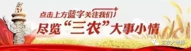 棉花价格改革平台_棉花相关政策_棉花目标价格改革政策解读