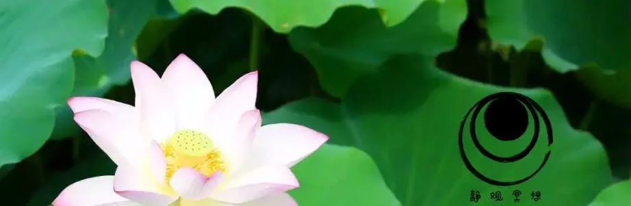 和解最经典十句话,村上春树很经典的10句话：人生最难的修行，是与自己和解