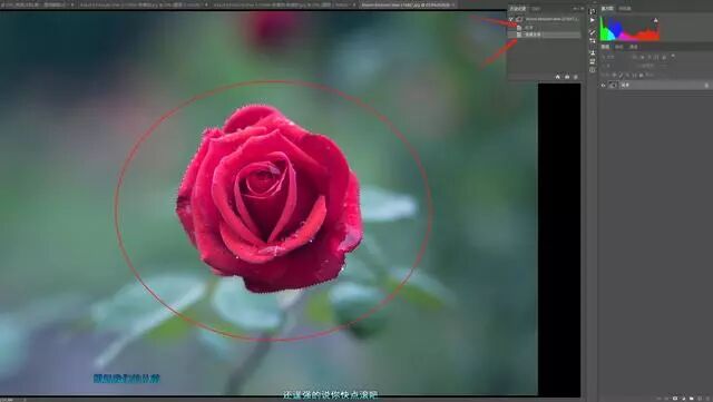 ps通道抠完怎么载入选区_ps选区后怎么抠出来_ps中复制3张已抠抠过来的海星