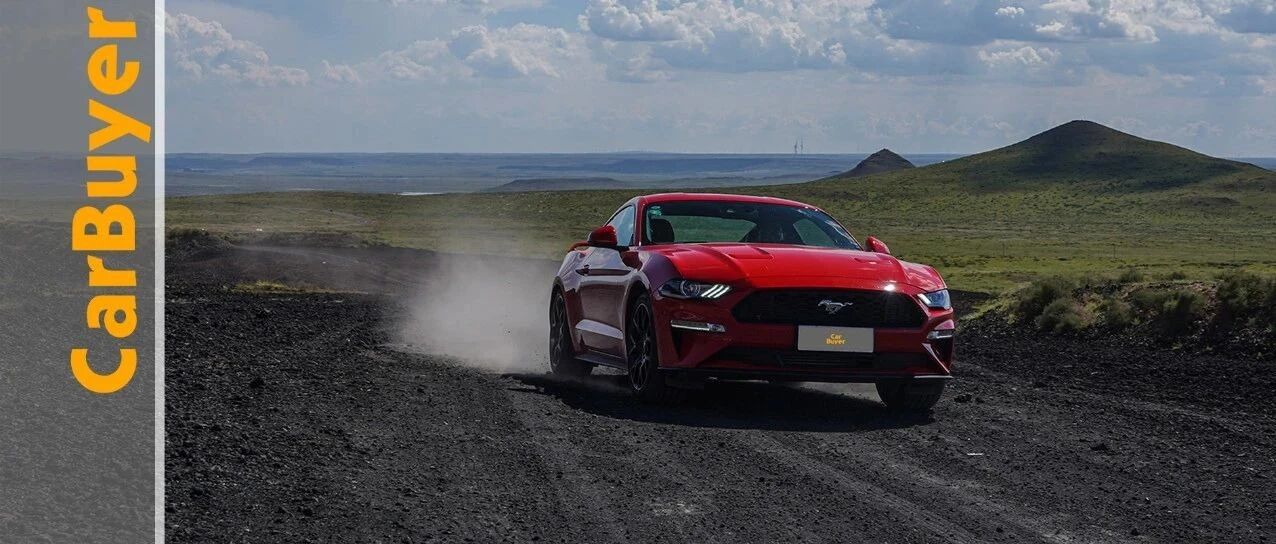 不脱缰，不野马