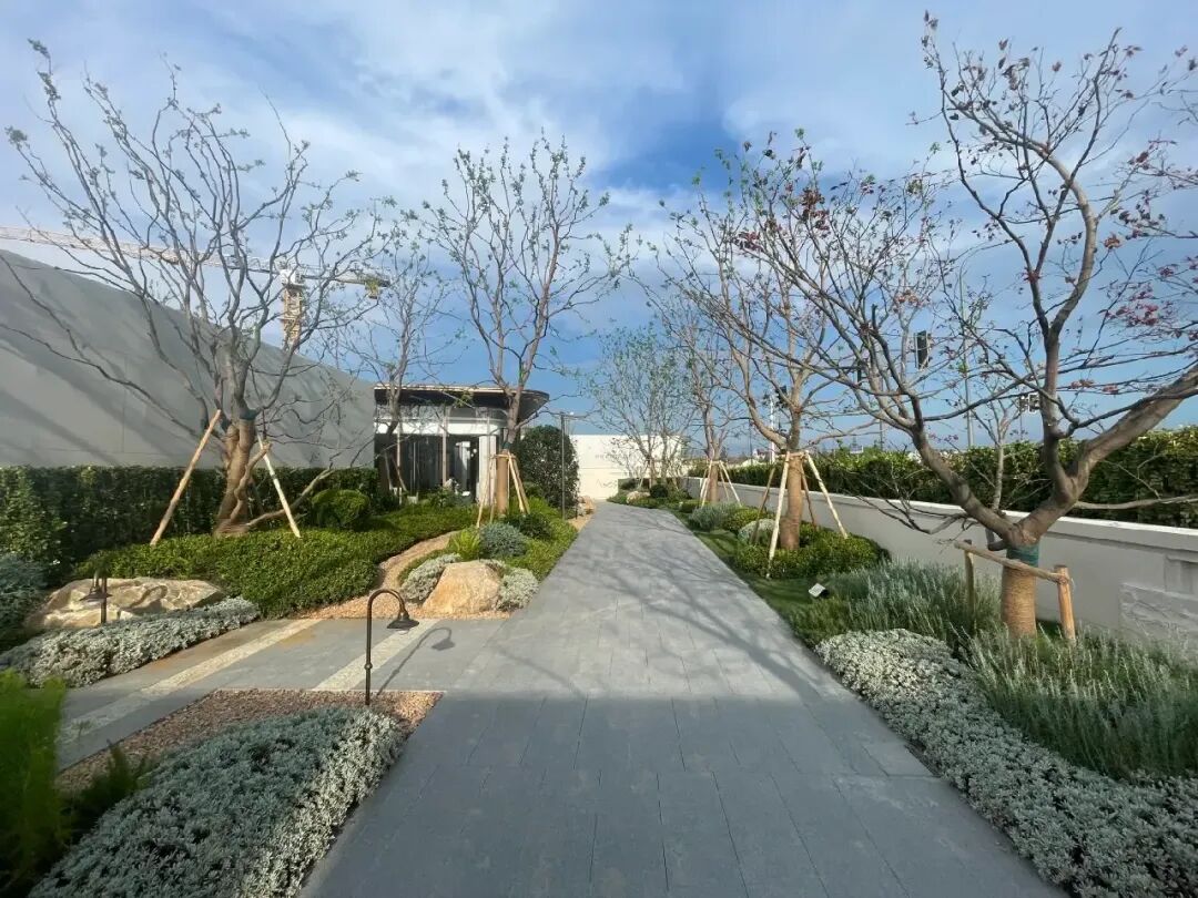 售楼处实景图展示品质感