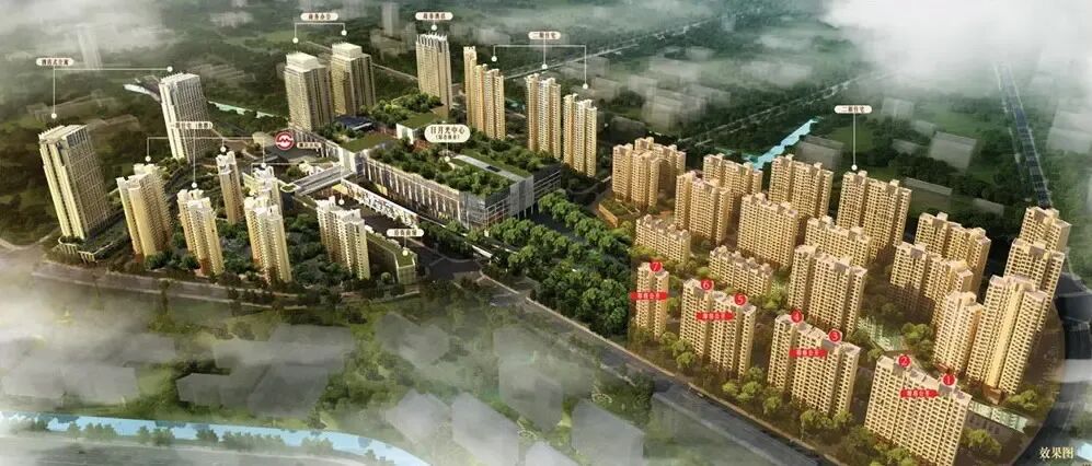 项目整体鸟瞰图
