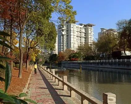 桃浦中央绿地实景