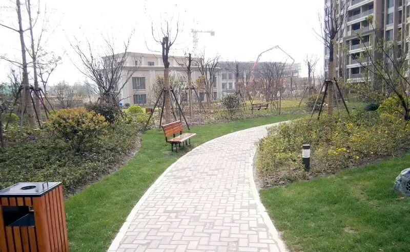 小区绿化实景