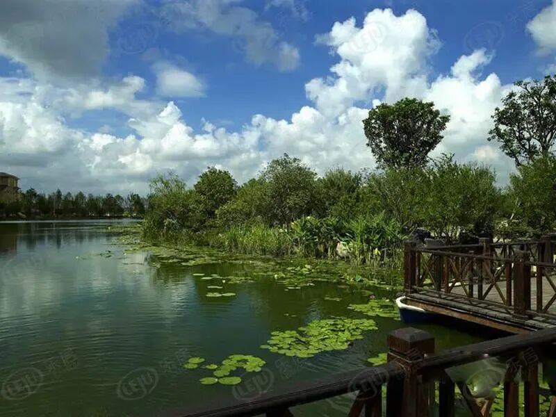 周边配套 上海星河湾周边配套