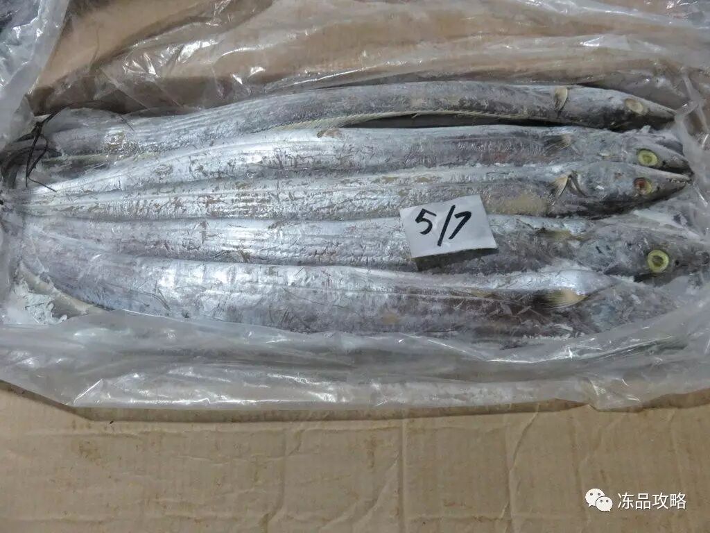 21 巴基斯坦带鱼,阿根廷去头红虾,印度去头虾,印度虾仁,苏里南黄鱼等