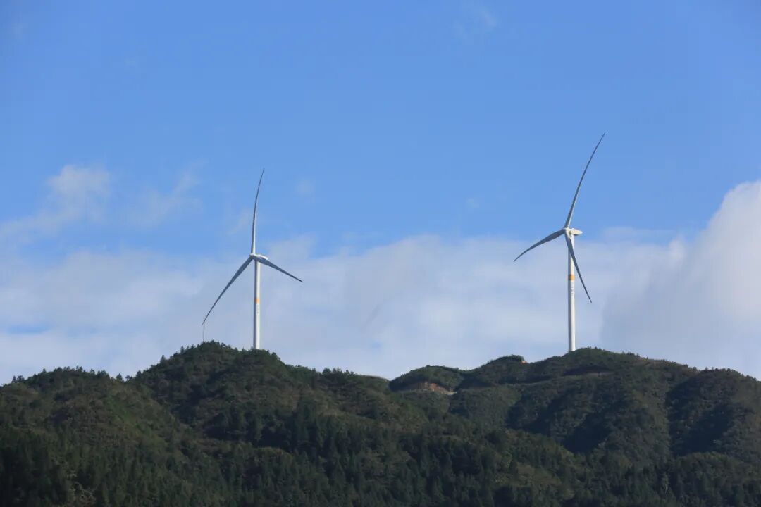 构成了高海拔山区上一道独特的风景线.