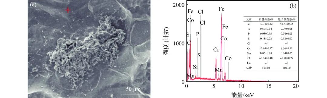 10.3969-j.issn.1000-6826.2024.10.0401-Figure5.jpg