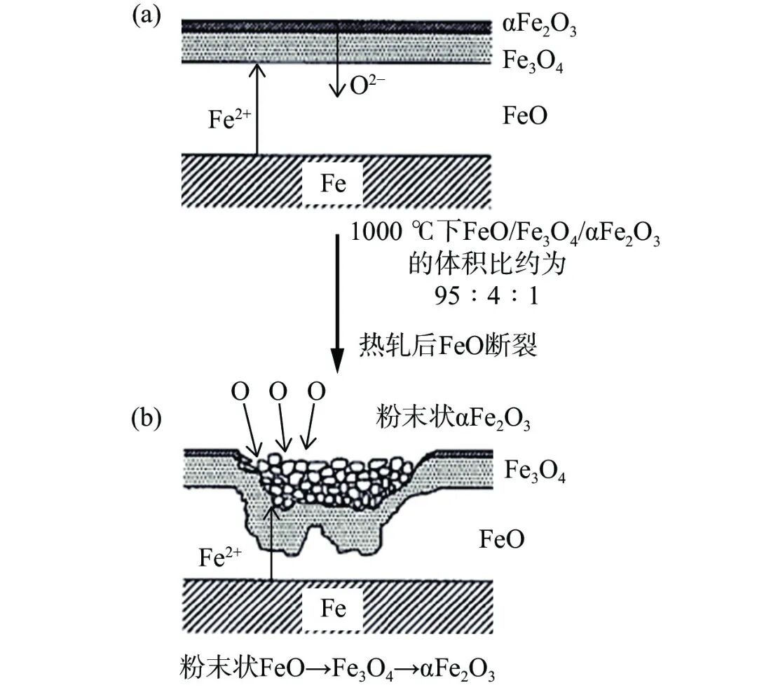 10.3969-j.issn.1000-6826.2024.09.1903-Figure2.jpg
