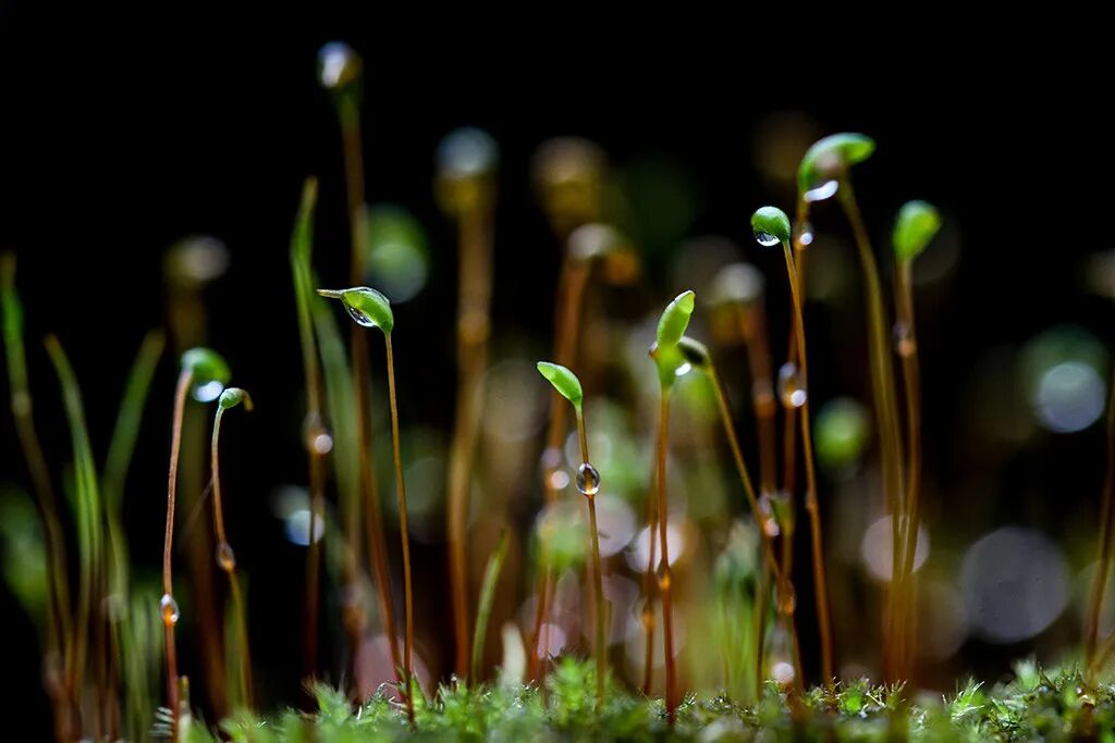 怎么用纸折病床文化情感｜躺在病床上，忍受着病痛的折磨，突然明白了半生忙碌_https://www.jmylbn.com_新闻资讯_第2张
