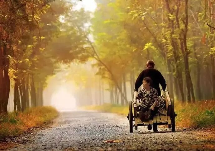 怎么用纸折病床文化情感｜躺在病床上，忍受着病痛的折磨，突然明白了半生忙碌_https://www.jmylbn.com_新闻资讯_第1张