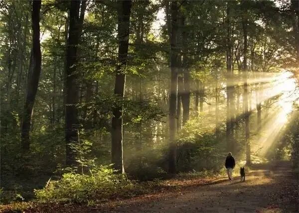 怎么用纸折病床文化情感｜躺在病床上，忍受着病痛的折磨，突然明白了半生忙碌_https://www.jmylbn.com_新闻资讯_第5张