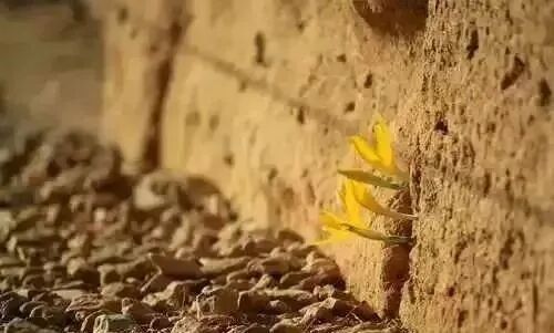 怎么用纸折病床文化情感｜躺在病床上，忍受着病痛的折磨，突然明白了半生忙碌_https://www.jmylbn.com_新闻资讯_第3张