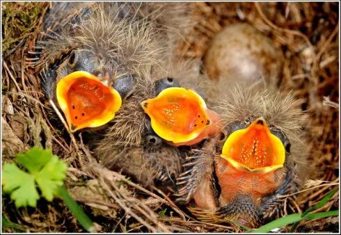 怎么用纸折病床文化情感｜躺在病床上，忍受着病痛的折磨，突然明白了半生忙碌_https://www.jmylbn.com_新闻资讯_第4张