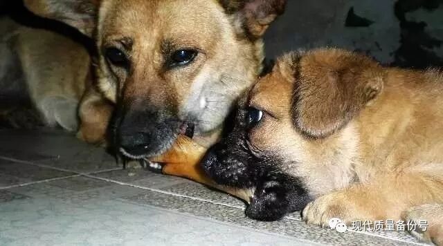 美国的南北战争的意义说出来让人喷饭！