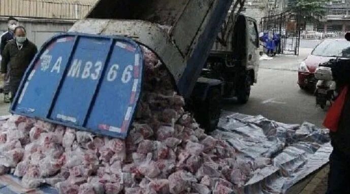 湖北作协主席方方竟拥有厅级退休干部特权！