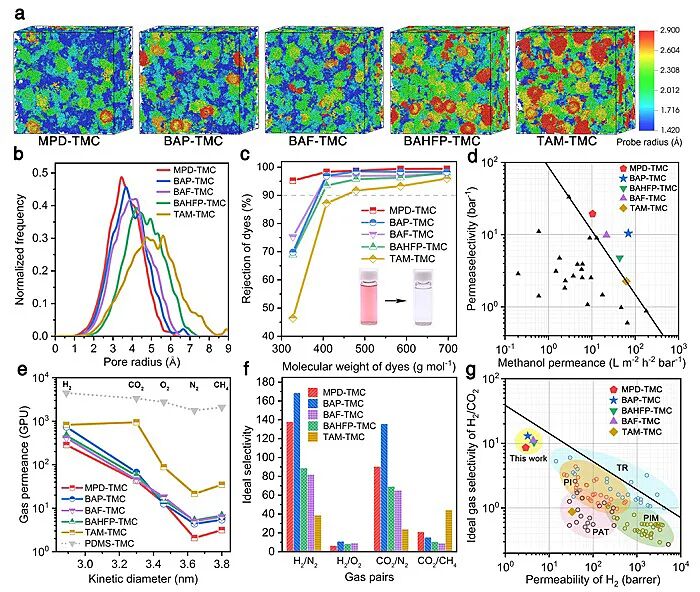 浙江大学徐志康教授团队Angew：烷烃-离子液体界面聚合制备纳米聚酰胺薄膜的图3