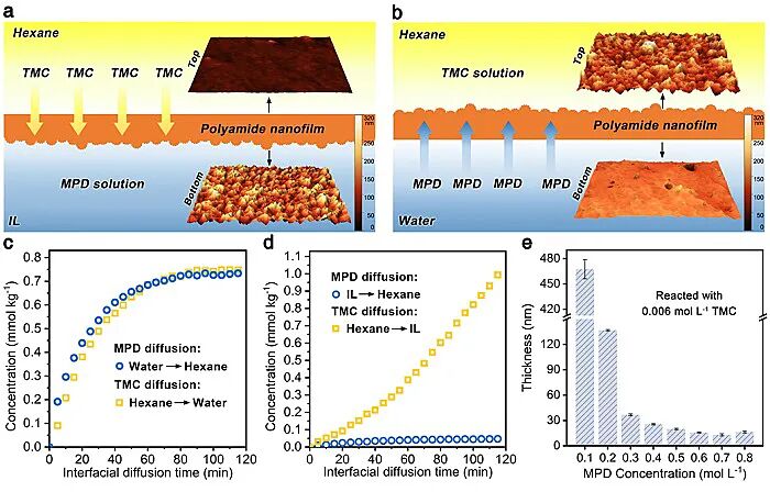 浙江大学徐志康教授团队Angew：烷烃-离子液体界面聚合制备纳米聚酰胺薄膜的图2