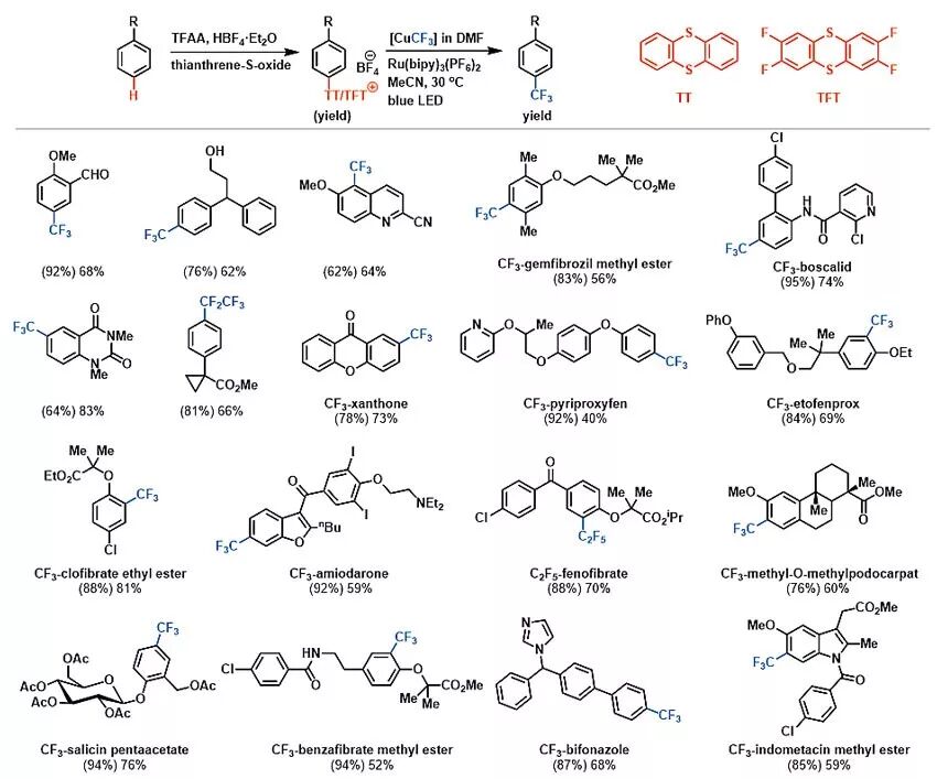 甲基的官能团结构式_甲基是官能团吗_甲基官能团是什么