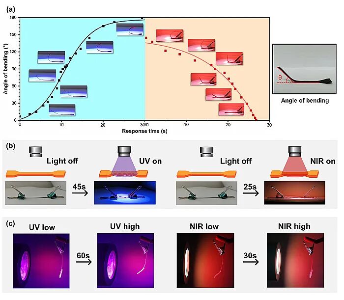 上海交大刘河洲研究员和陈玉洁副研究员团队Chem. Mater.：可重复循环的超强多重响应人造肌肉材料的图3