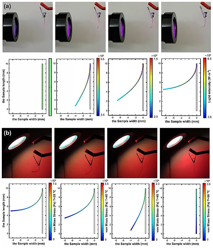 上海交大刘河洲研究员和陈玉洁副研究员团队Chem. Mater.：可重复循环的超强多重响应人造肌肉材料的图4