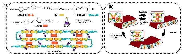 上海交大刘河洲研究员和陈玉洁副研究员团队Chem. Mater.：可重复循环的超强多重响应人造肌肉材料的图1