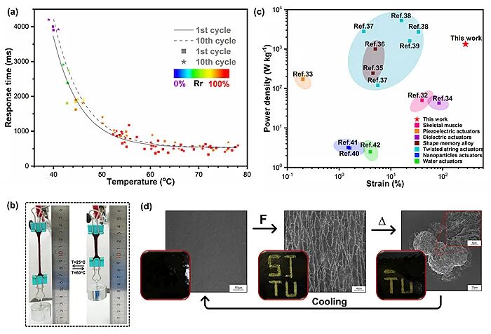 上海交大刘河洲研究员和陈玉洁副研究员团队Chem. Mater.：可重复循环的超强多重响应人造肌肉材料的图2