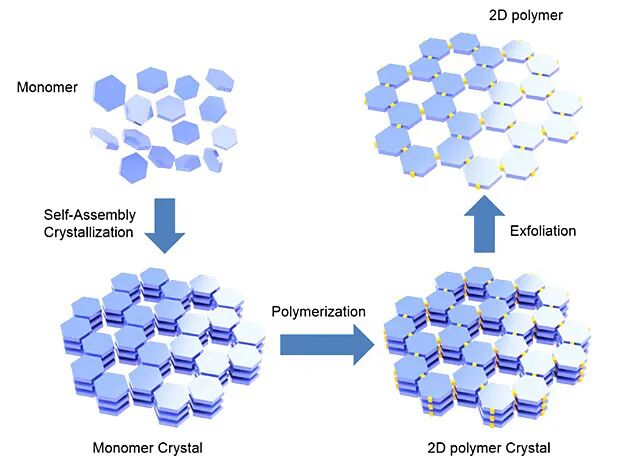 青科大李志波教授、赵英杰教授等JACS：大尺寸二维聚合物单晶的制备及高效剥离的图1