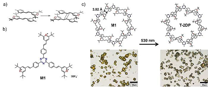 青科大李志波教授、赵英杰教授等JACS：大尺寸二维聚合物单晶的制备及高效剥离的图2