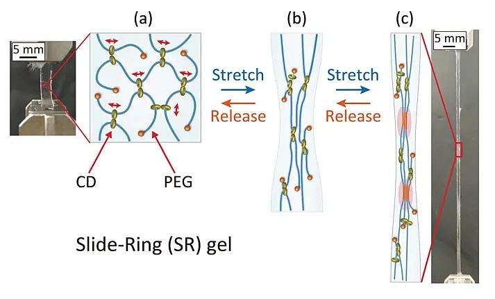 Science：滑動環水凝膠，20年前老idea也能做出新意的圖6