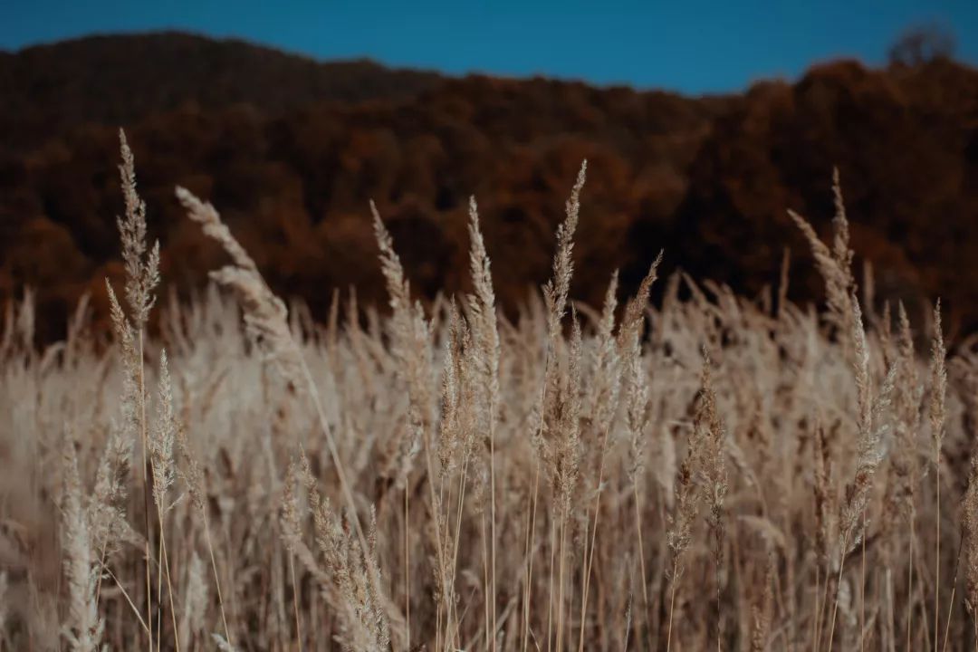 錦繡中華 | N個目的地，總有一個不負你的旅行！ 旅遊 第4張