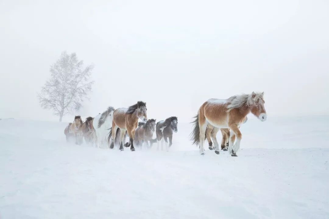 錦繡中華 | N個目的地，總有一個不負你的旅行！ 旅遊 第26張