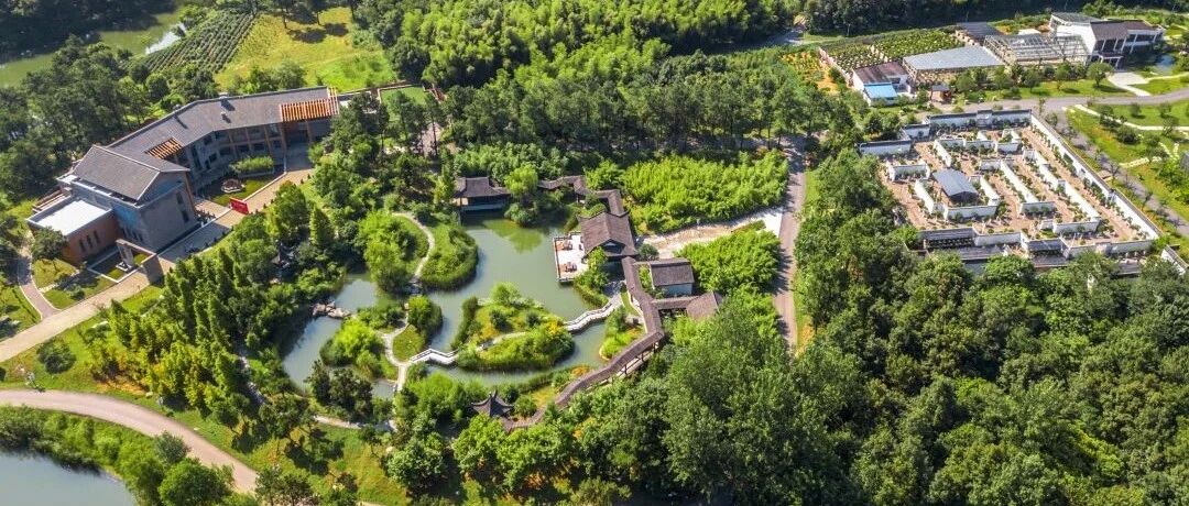 新闻 | “绿野仙踪巴士”串联江苏茅山迤逦风光