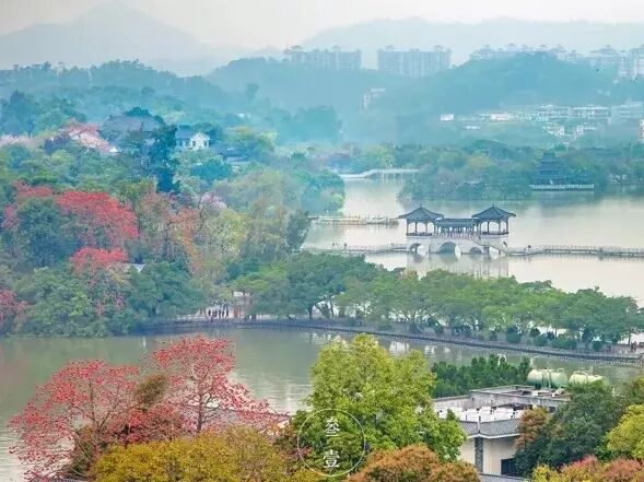 廈深高鐵海濱環遊記——惠州南站 旅遊 第11張