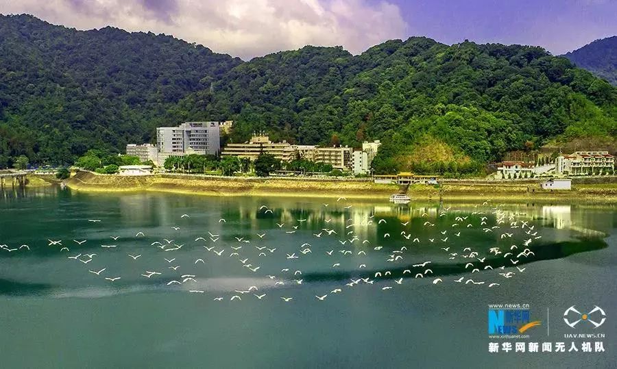 風光 | 海島濕地玻璃橋 無人機帶你俯瞰繽紛廣東 旅行 第4張